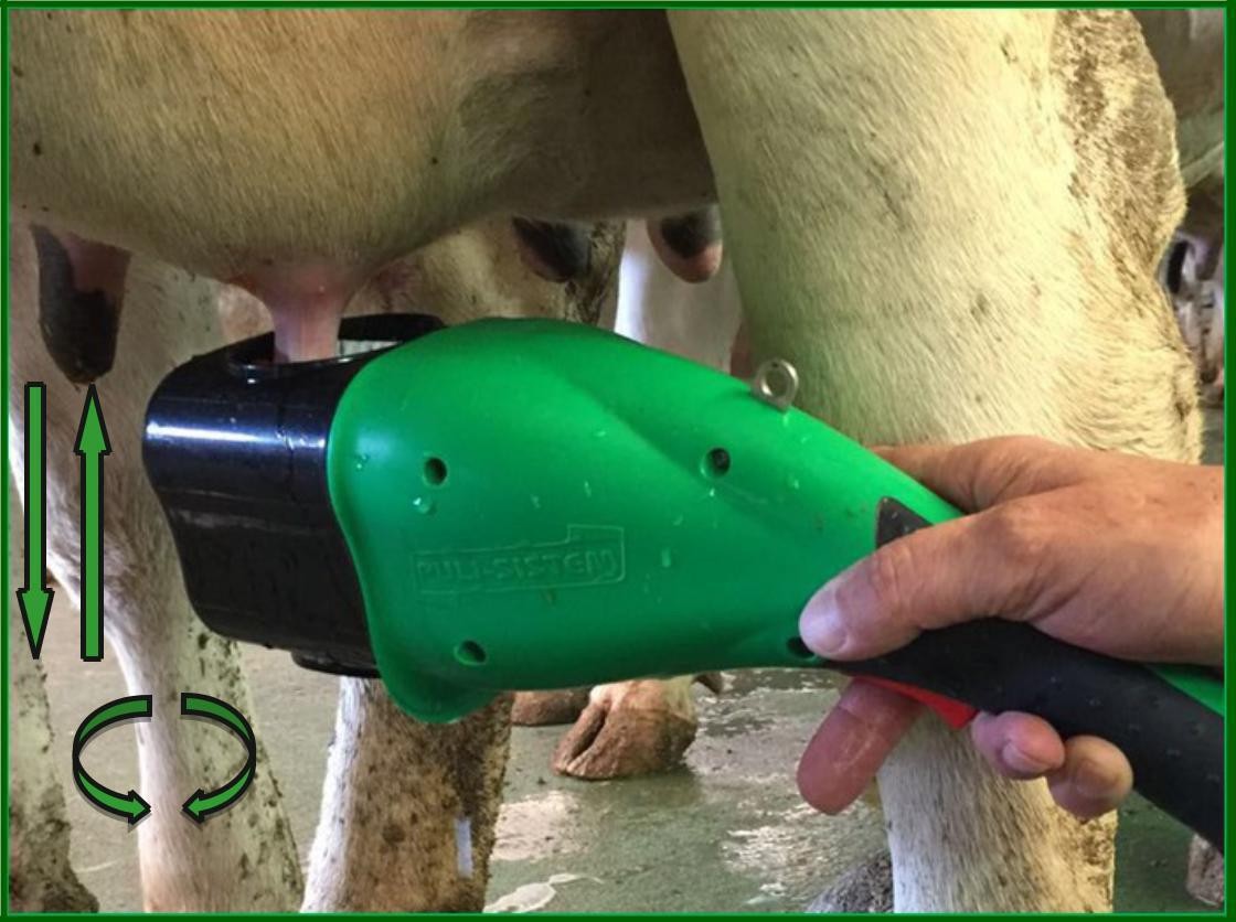 Скрубер Double complete - Система подготовки вымени коровы к доению Puli-sistem F-488 (Италия)