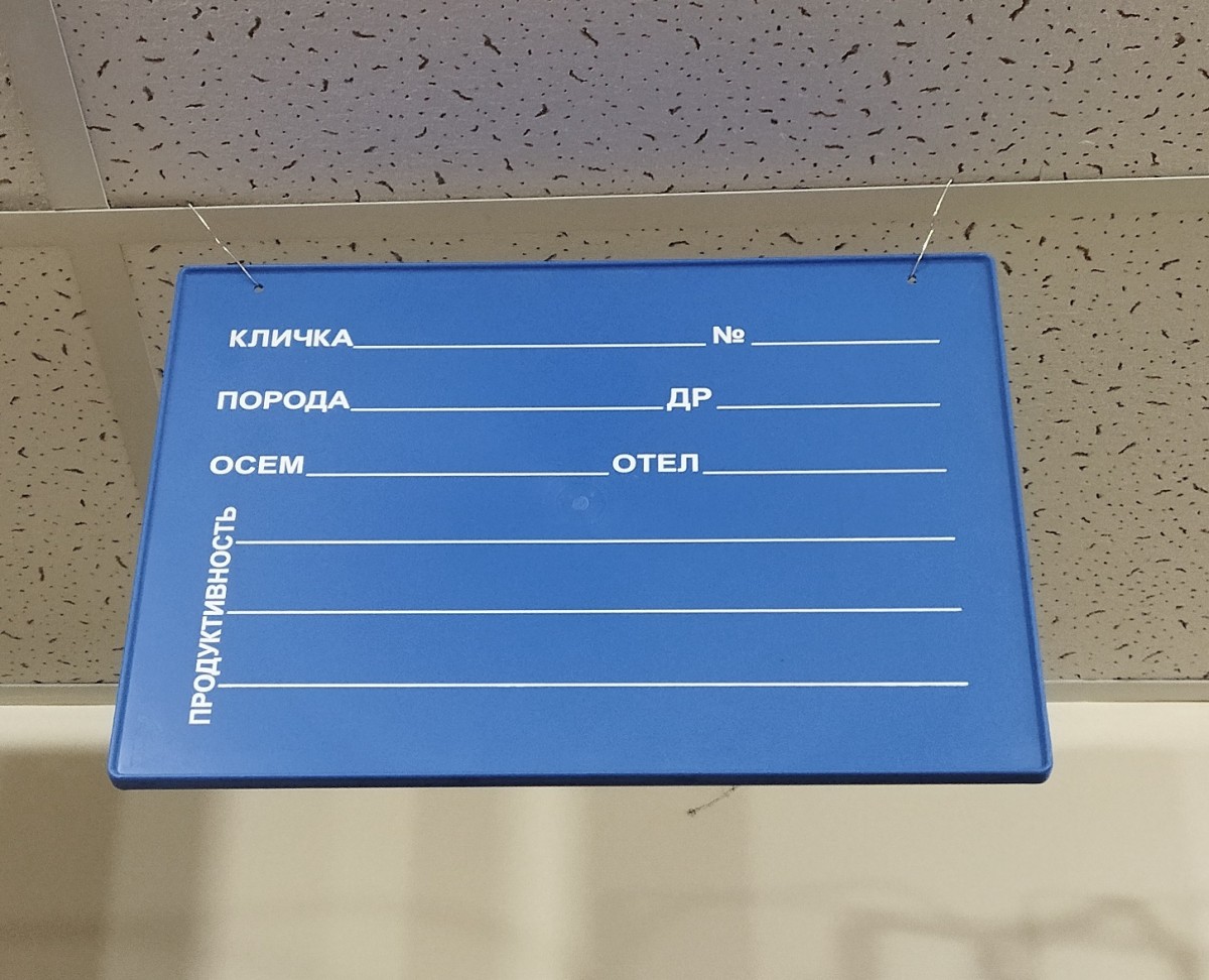 Информационное табло (табличка), синяя